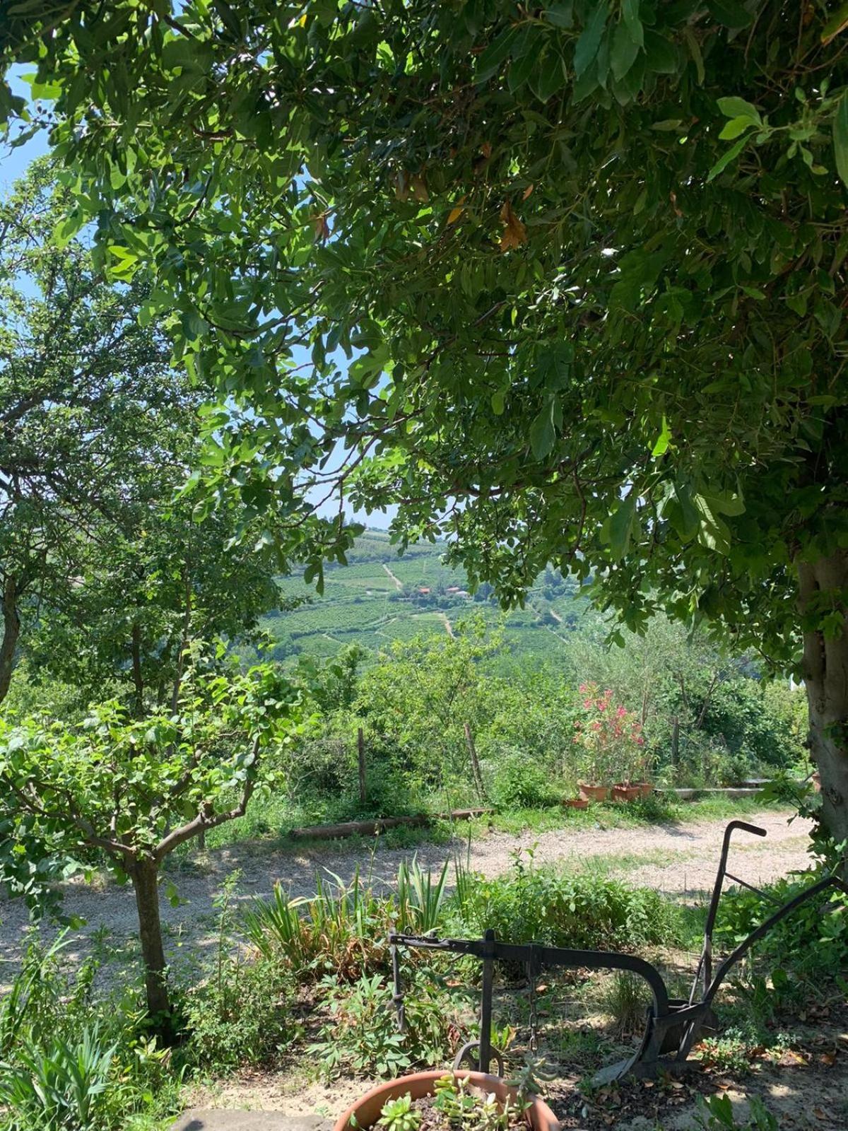 Agriturismo Cascina Anri Mango Exterior photo